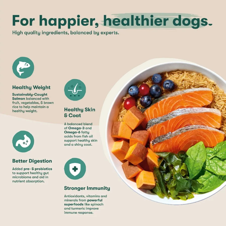 Salmon, Brown Rice, and Sweet Potato Dry Dog Food, 30lb. Bag