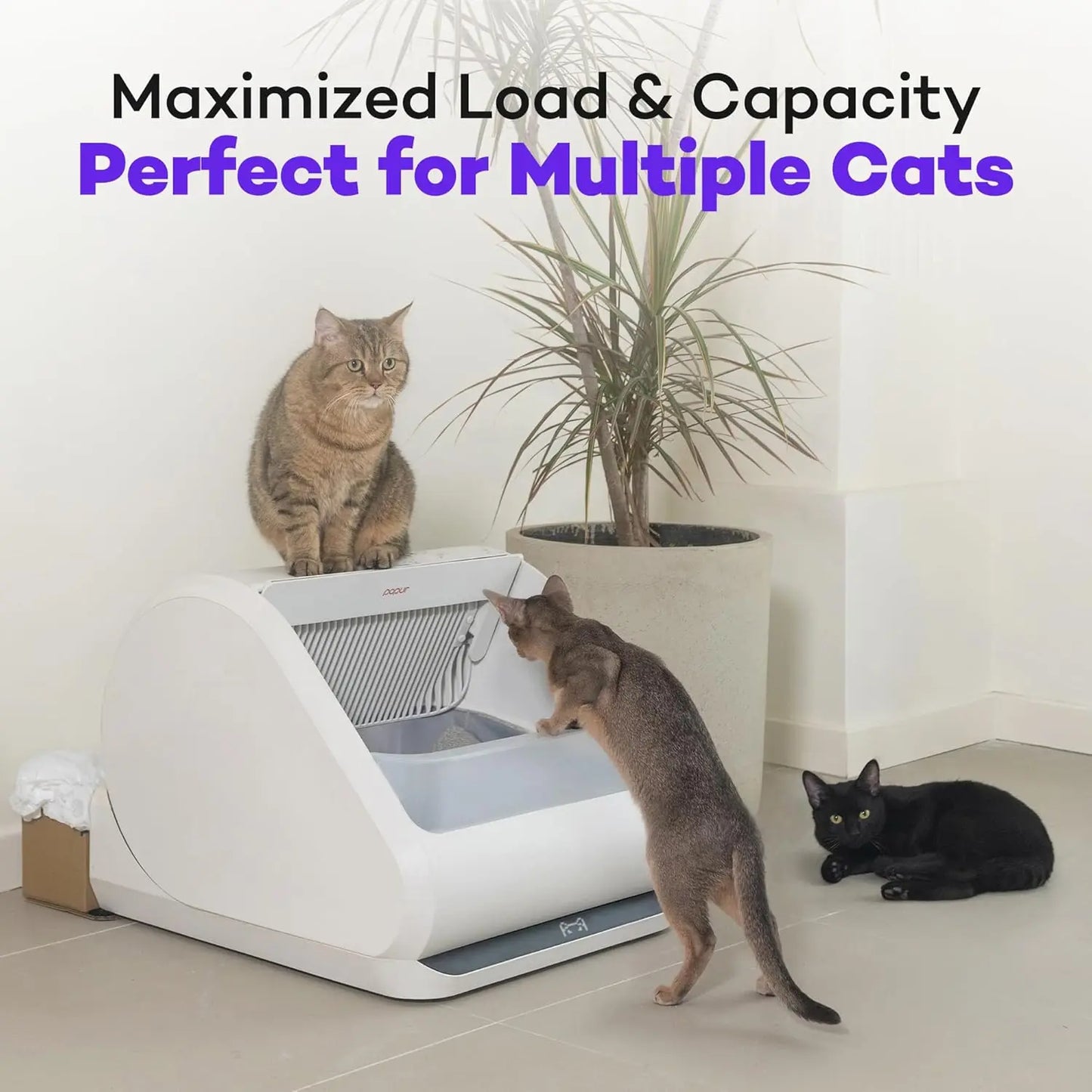 Self-Cleaning Cat Litter Box - Unique Open Top Split System - Automatic Litter Scooping Robot