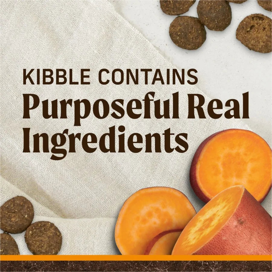 Premium Grain Free Dry Adult Dog Food, Wholesome And Natural Kibble With Real Chicken And Sweet Potato, 10.0 lb. Bag