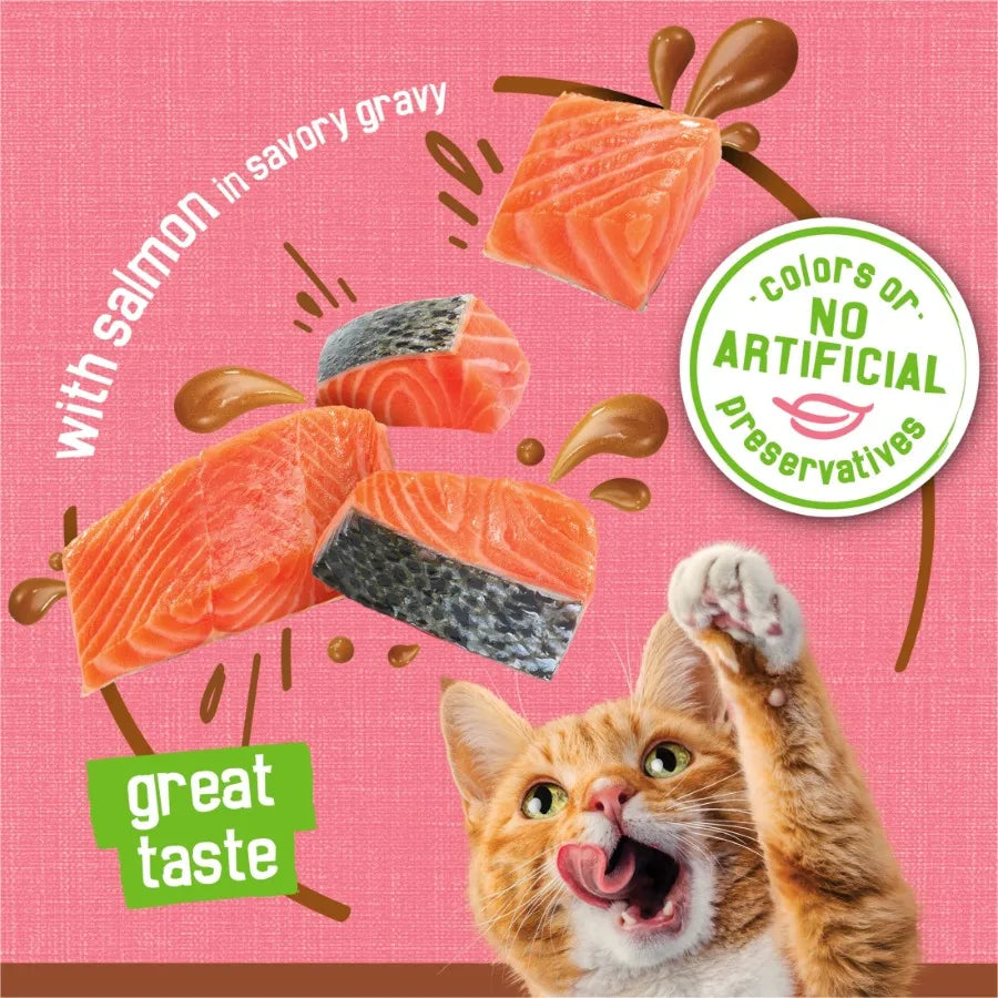 24 pack Extra Gravy Pate With Salmon, Wet Cat Food, 5.5 oz Cans