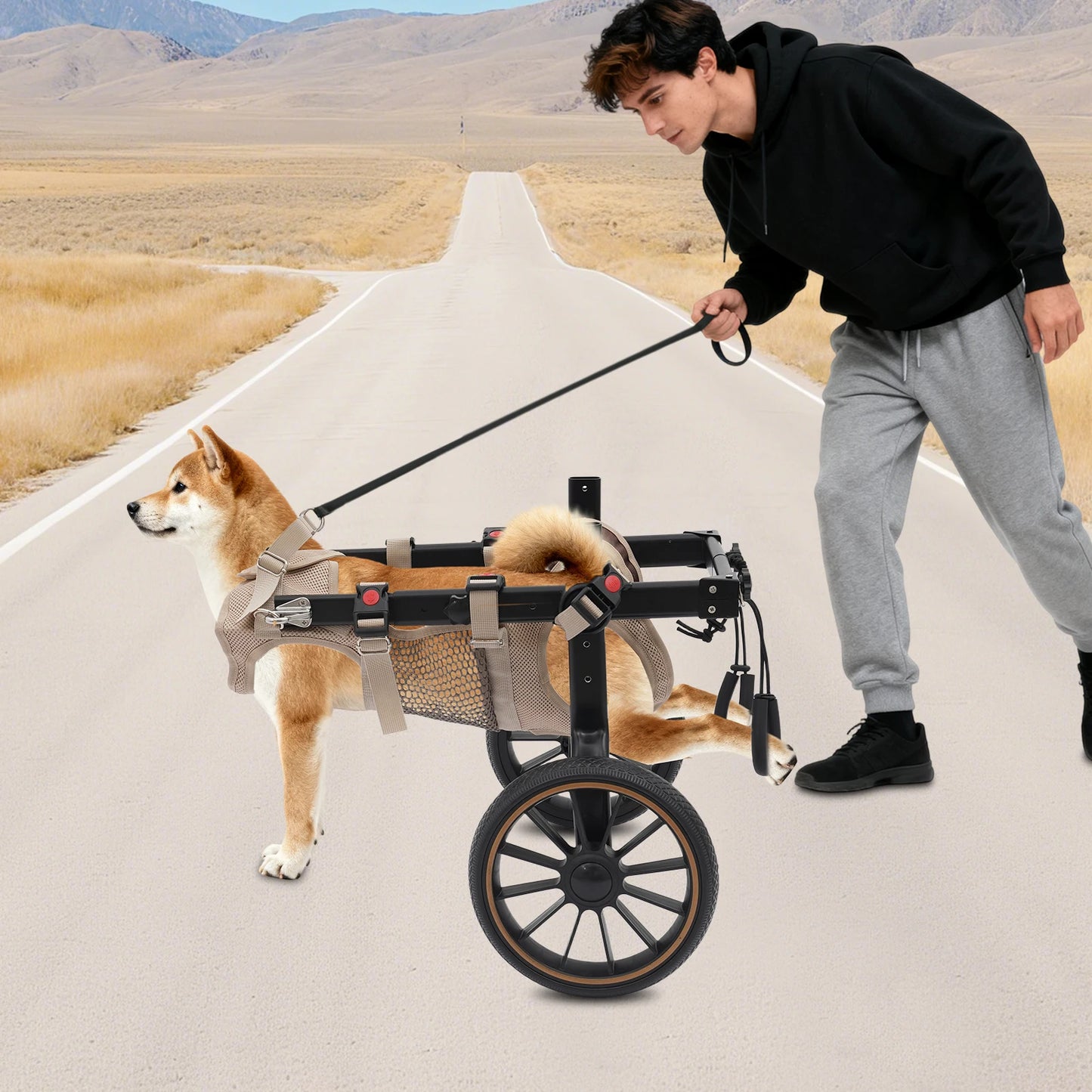 Pet Walking Aid Adjustable Dog Wheelchairs 2-Wheel Pet Rehabilitation Walking Aid Portable Walk Trolley Tools for Hind-Leg Support