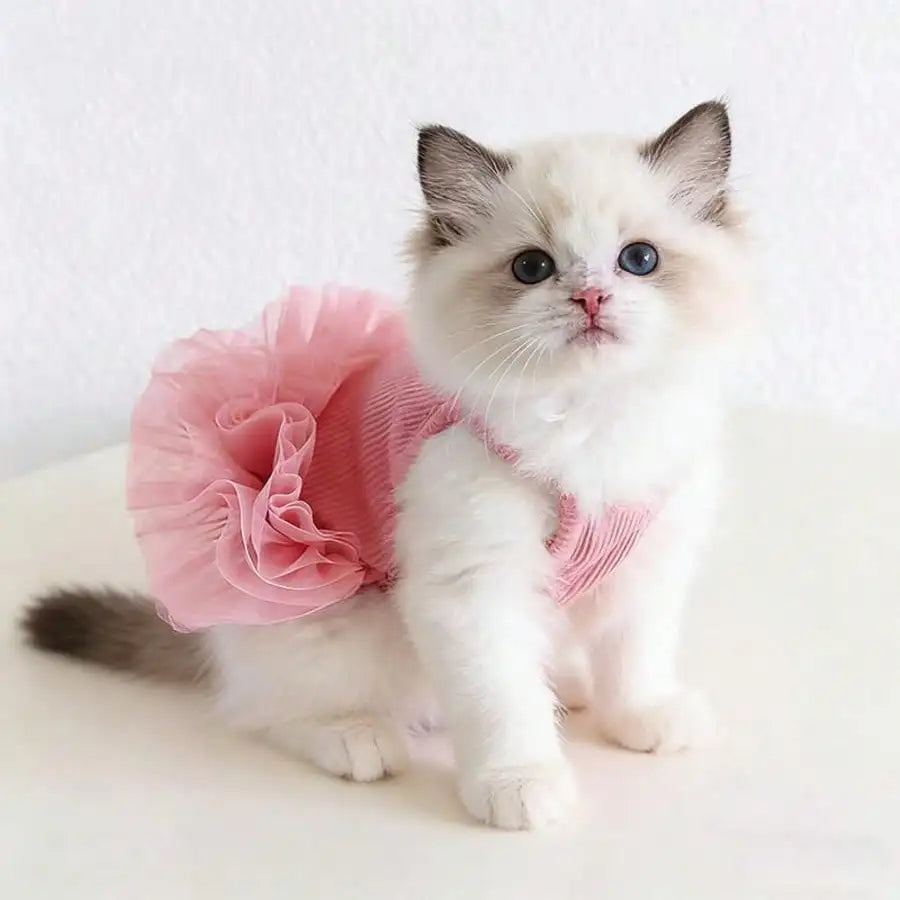 1pc Dog Cat Pink Tutu Clothes Valentine Day Dresses Small Doggy Pet Sweet Outdoor Birthday Party Festival Outfit