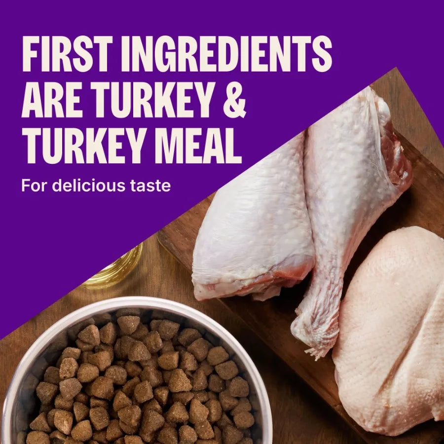 CORE Dry Dog Food, Grain Free, High Protein, Natural, Healthy Weight Turkey and Chicken Recipe, 4-Pound Bag