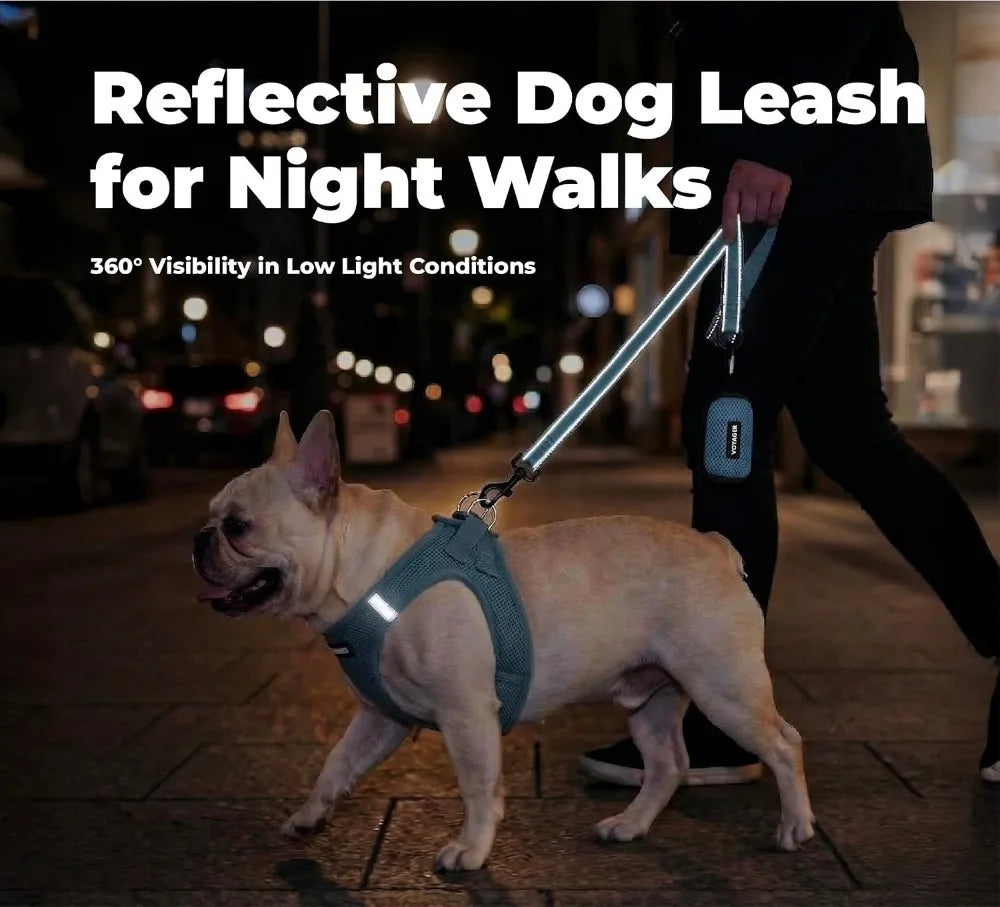 Reflective Dog Leash with Neoprene Handle, Heavy Duty Nylon, for Small to Large Dogs, Walking Running Training, Baby Blue, S