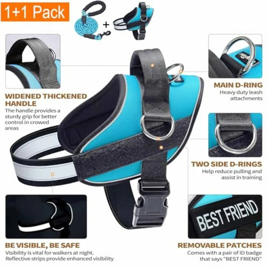 Essential Dog Harness, No Pull Pet Vest with 3 Leash Clips, No Choke, Reflective, Adjustable and Padded, for Easy Walking