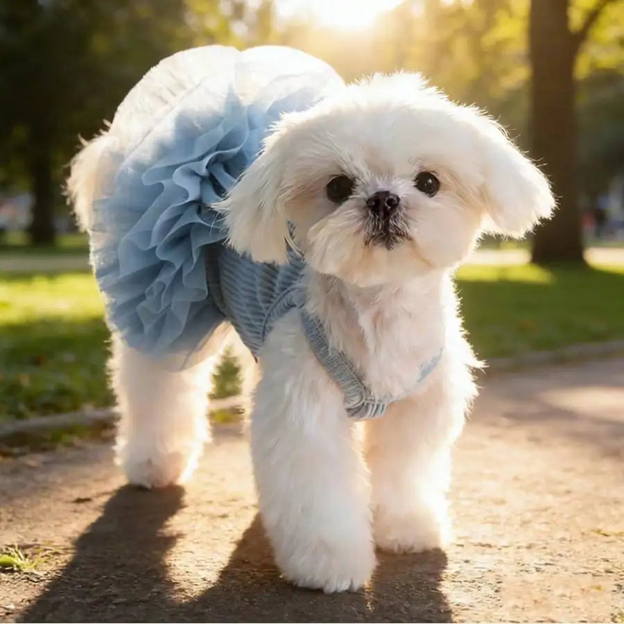 1pc Pet Dog Dress, Elegant Ballet Tulle Skirt Party Dress, Romantic Princess Dress, Suitable For Small Dogs & Cats, Lightweight For Spring/Summer