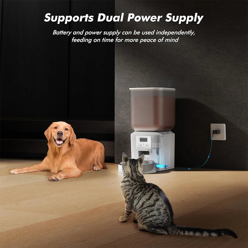 8L Automatic Cat Feeder, Smart Pet Food Dispenser with Key Control, Voice Recorder, Dual Power Supply, Timed Auto Dog Feeder with Stainless Steel Bowl